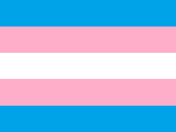 When is International Transgender Day of Visibility 2025 (TDOV) and what does it mean?