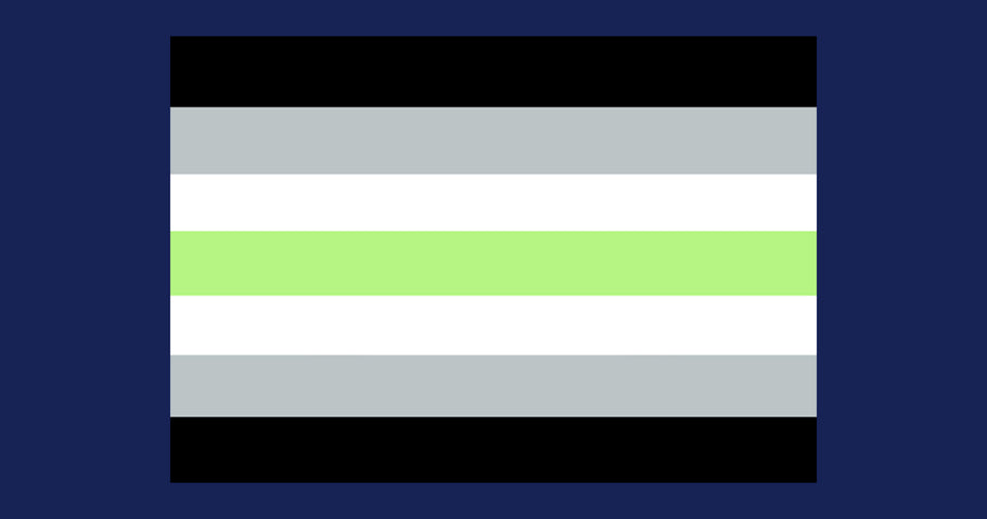 What is the Agender pride flag and what does it mean?