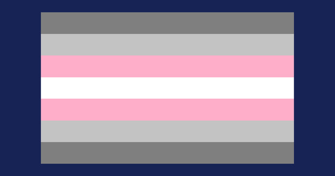 What is the Demigirl pride flag and what does it mean?