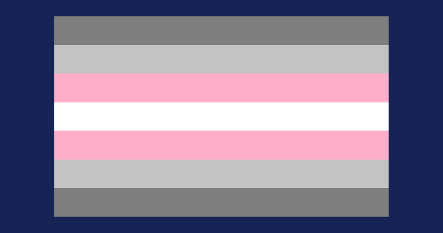 What is the Demigirl pride flag and what does it mean?