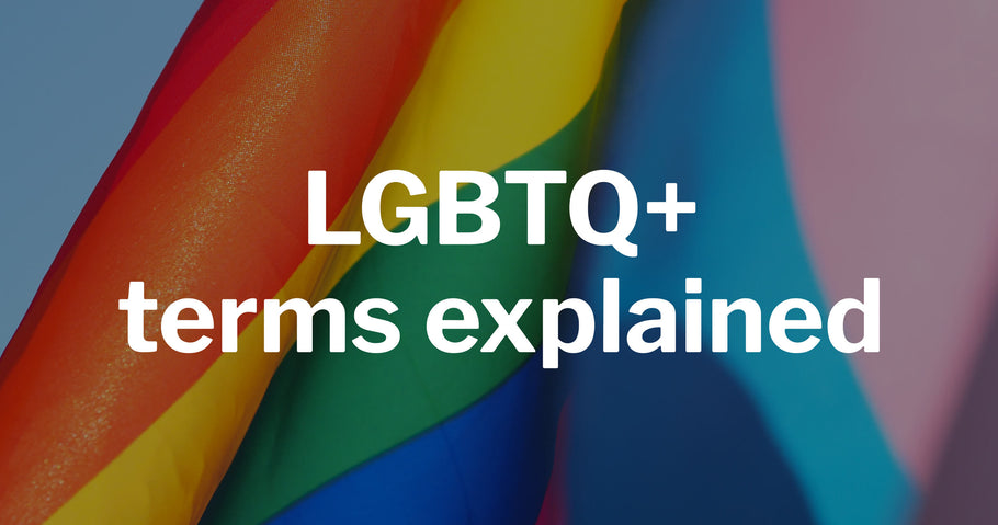 What does LGBTQ+ mean?