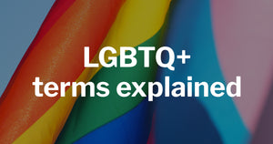 What do he / him / his pronouns mean?, LGBT terms explained