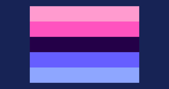 What is the Omnisexual pride flag and what does it mean?
