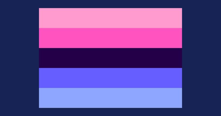 What is the Omnisexual pride flag and what does it mean?