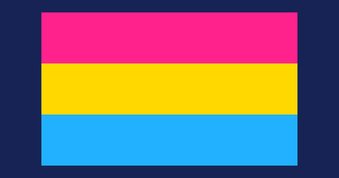 When is Pansexual Pride Day 2023 and what does it mean?