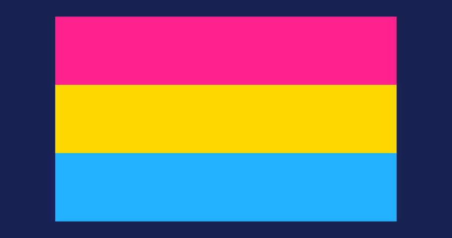 What is the Pansexual pride flag and what does it mean?