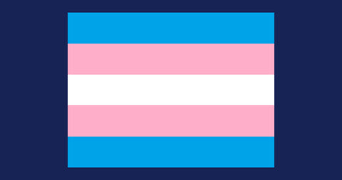 When is International Transgender Day of Visibility 2024 and what does it mean?