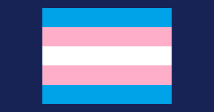What is the Transgender pride flag and what does it mean?