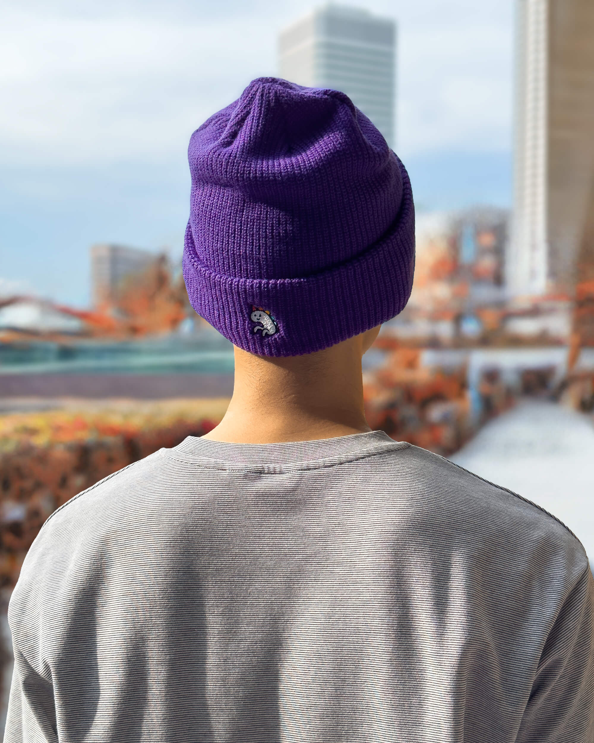 Ace dragon + Unicorn — Beanie