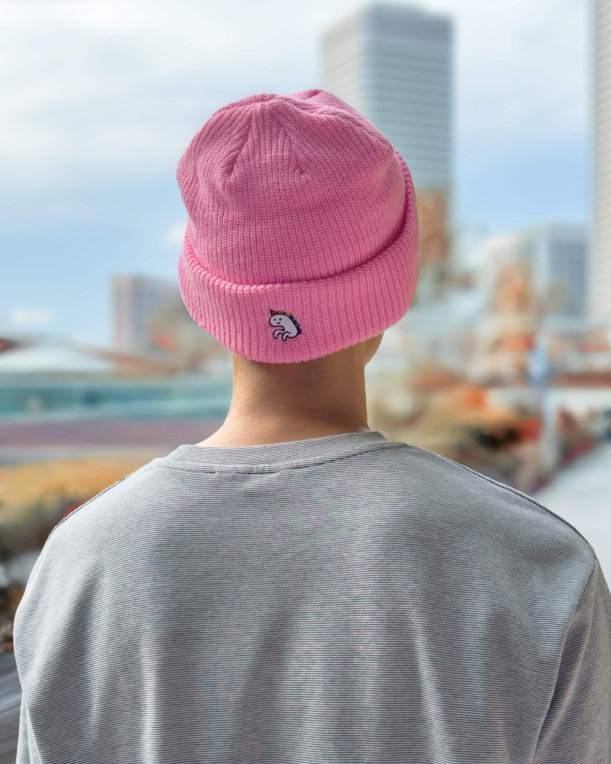 Pannosaurus Rex + Unicorn — Beanie