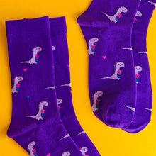 Load image into Gallery viewer, Binosaur — socks