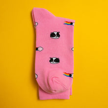 Load image into Gallery viewer, Kitten — socks