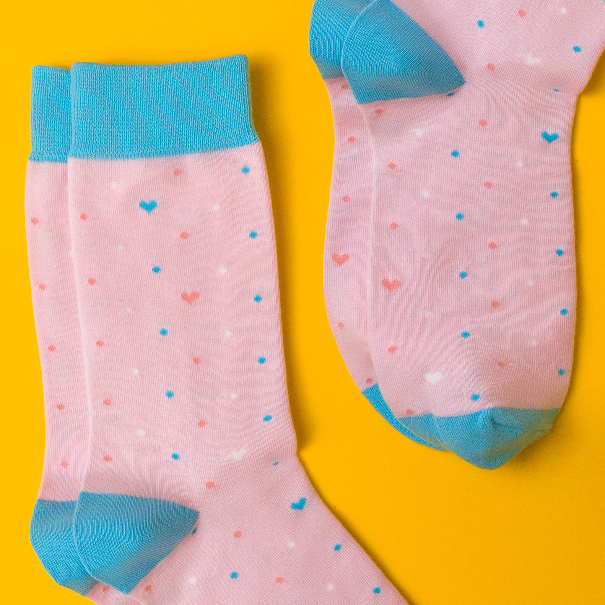 Trans pride — socks